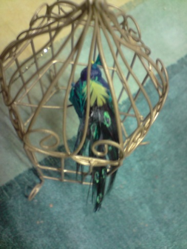 cage oiseau02