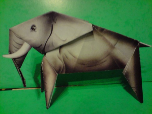 orig elephant