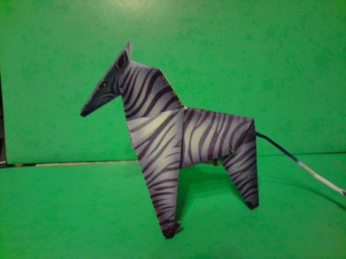 orig zebre